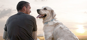 Tierversicherungen: Mann mit Hund schaut in den Sonnenuntergang