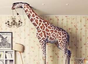 Giraffe im Zimmer