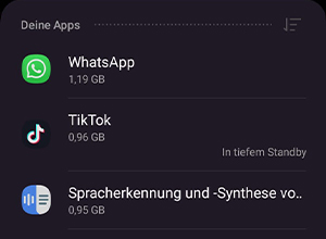 "Deine" Apps listet alle Apps nach Größe auf.