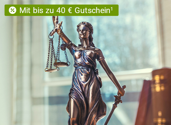 Justitia, die Göttin der Gerechtigkeit, ist als Bronzefigur abgebildet. Im Hintergrund sieht man schemenhaft ein Arbeitszimmer mit einigen Gesetzesbüchern rechts.
