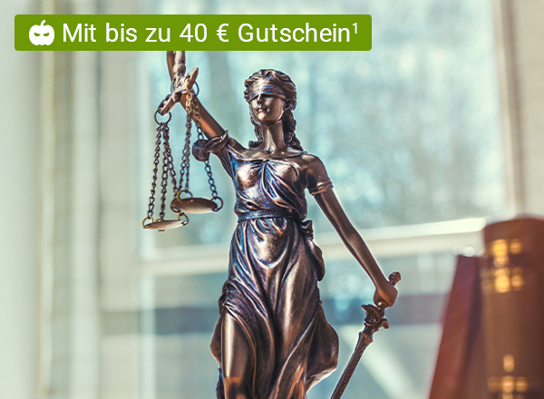 Justitia, die Göttin der Gerechtigkeit, ist als Bronzefigur abgebildet. Im Hintergrund sieht man schemenhaft ein Arbeitszimmer mit einigen Gesetzesbüchern rechts.