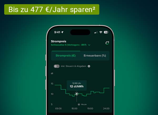 Rabot Energy App