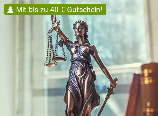 Justitia, die Göttin der Gerechtigkeit, ist als Bronzefigur abgebildet. Im Hintergrund sieht man schemenhaft ein Arbeitszimmer mit einigen Gesetzesbüchern rechts.
