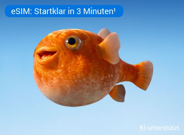 Udo und Hinweis: eSIM: Startklar in 3 Minuten