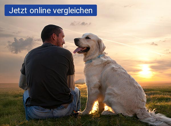 Ein Mann und ein Hund sitzen auf der Wiese und schauen sich an.