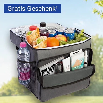 Kühltasche