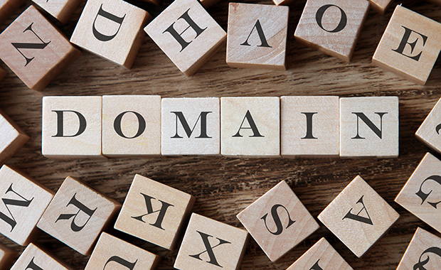 Image of wooden Scrabble tiles spelling “DOMAIN” on a wood surface