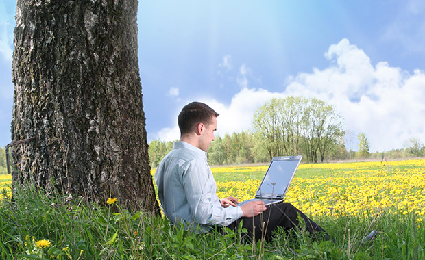 Man sits under tree in field of yellow flowers and reads email on laptop