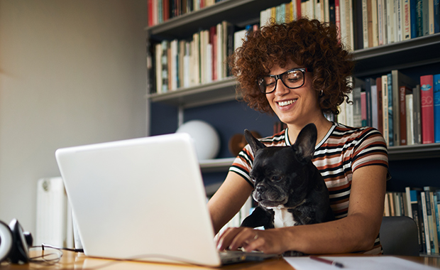 Woman sits at desk using computer with French bulldog on lap