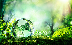 Abstract image of green globe on forest floor
