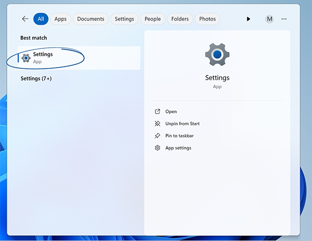Screenshot of display settings