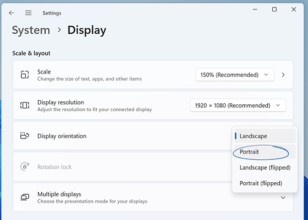 Screenshot of display setting options