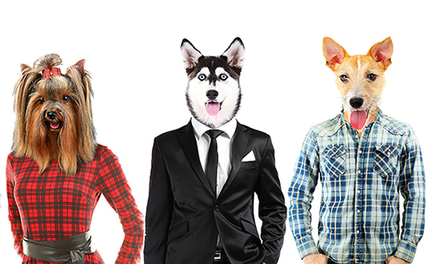 Three people with images altered to have dog heads