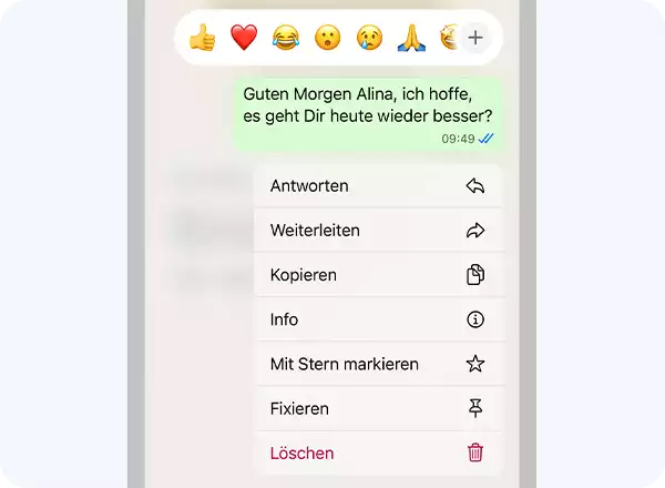 Screenshot von einem WhatsApp-Chat mit den verschiedenen Möglichkeiten, die man mit einer Textnachricht hat.