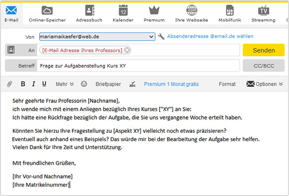 So kann eine E-Mail an Ihren Professor aussehen!