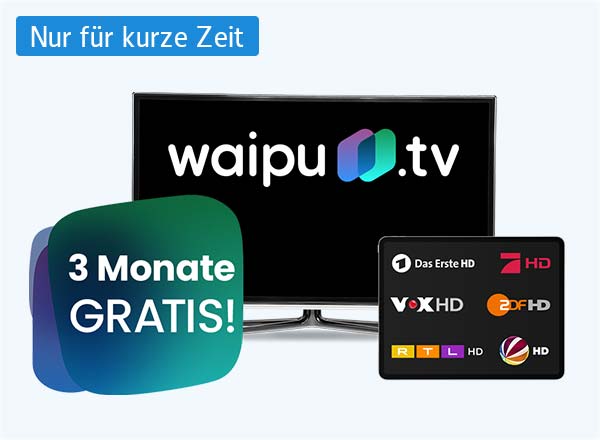 Fernsehen ohne Kabel-TV / SAT