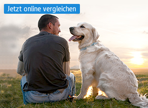 Hundekrankenversicherung: Ihrem Vierbeiner zuliebe