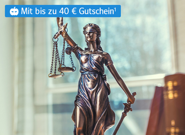 Justitia, die Göttin der Gerechtigkeit, ist als Bronzefigur abgebildet. Im Hintergrund sieht man schemenhaft ein Arbeitszimmer mit einigen Gesetzesbüchern rechts.