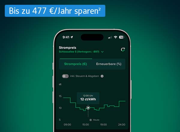Rabot Energy App