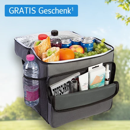 Kühltasche