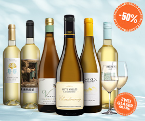 Sieben Weinflaschen und zwei Gläser mit Hinweisen -50 % und Zwei Gläser