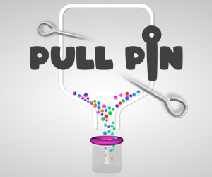 Pull Pin