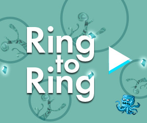 Ring to Ring Spielfeld