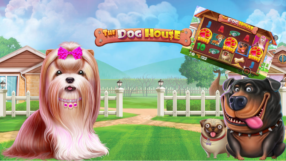 The Dog House Jackpot Game Teaser Bild. Drei Hunde verschiedener Rassen , darunter ein Mops, ein Kampfhund und ein knuffiger Cesar Hunde mit Schleife auf dem Kopf stehen auf einer grünen und großen Wiese. Eine Abbildung aus der Slot Machine