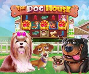 Hunde vor der Slotmachine "The Dog House"
