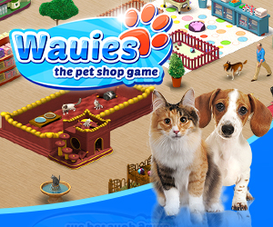 Wauies Teaser Grafik Ein Dackel und eine Katze stehen vor einer Tierhandlung