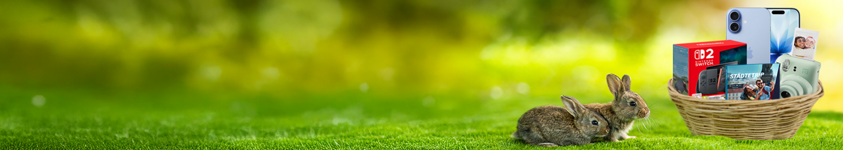 Zwei Hasen im Gras neben einem Korb mit Technikgeschenken und Kamera im Frühling