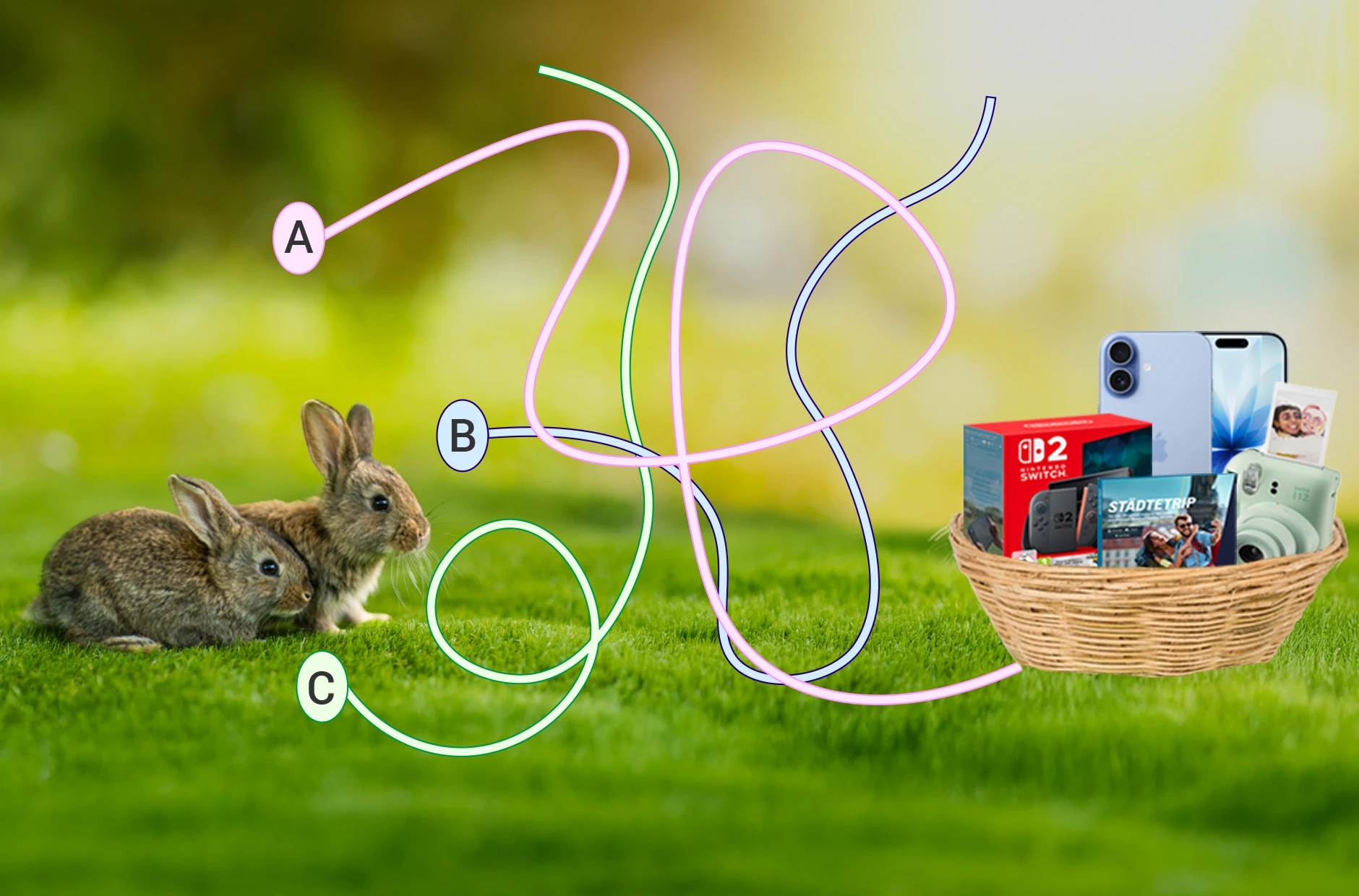 Osterrätsel: Die Hasen müssen ihren Weg zum Osterkorb finden. Weg A, B oder C, welcher ist der Richtige uns führt zum Nest?