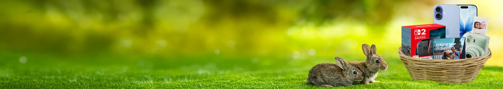 Das WEB.DE Ostergewinnspiel: 2 Osterhasen sitzen auf einer Wiese neben einem Osterkorb