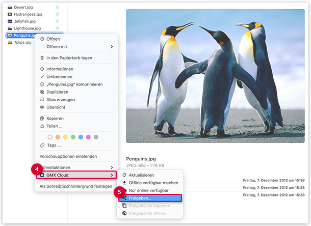 Screenshot: Freigabe erstellen