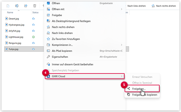 Screenshot: Freigabe erstellen