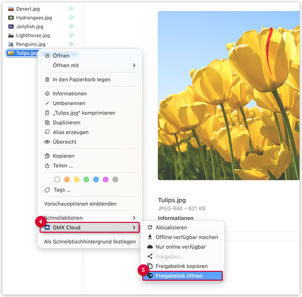 Screenshot: Freigabe öffnen