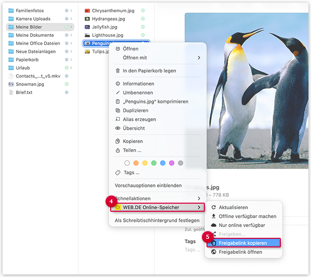 Screenshot: Freigabe erstellen