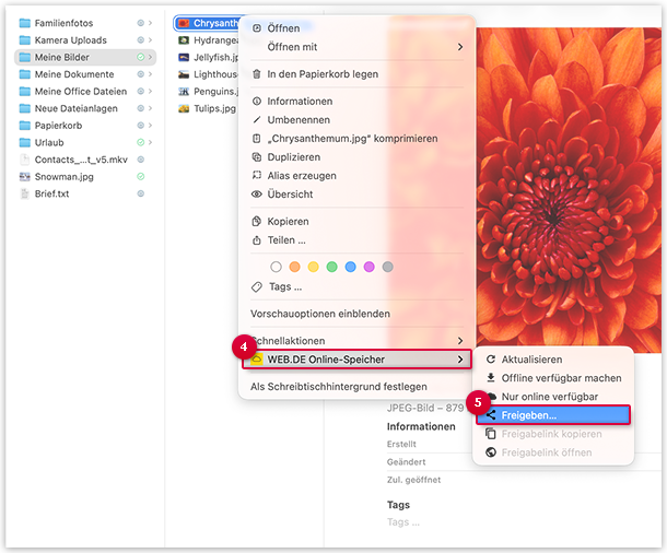 Screenshot: Freigabe erstellen