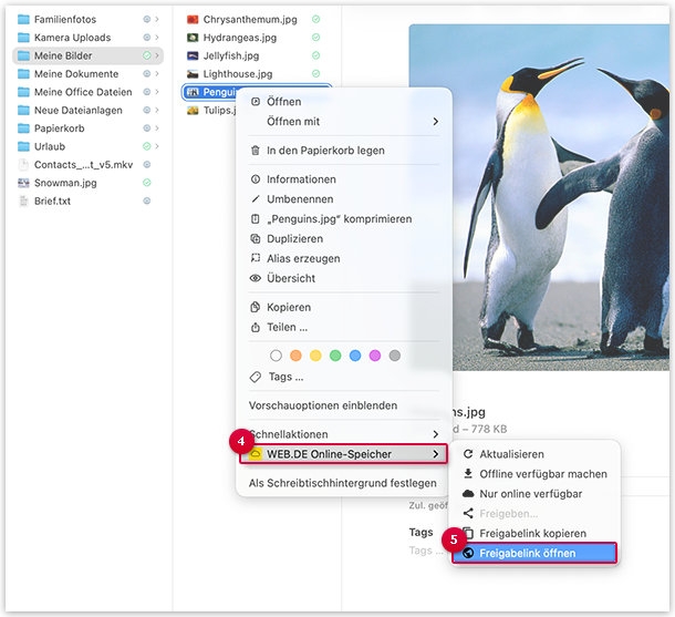 Screenshot: Freigabe öffnen