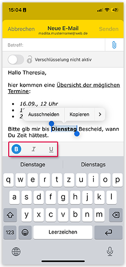 iPhone Ansicht