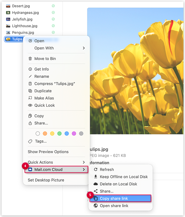 Screenshot: Freigabe erstellen