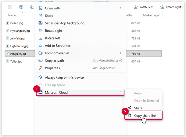 Screenshot: Copy share link