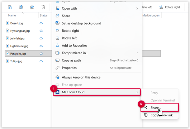 Screenshot: Create share
