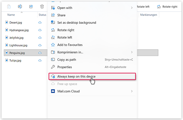 Screenshot: Keep offline