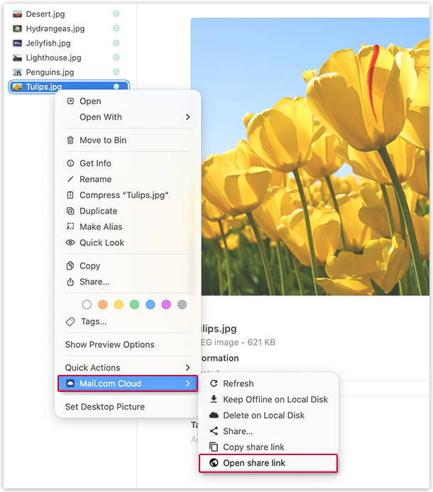 Screenshot: Freigabe öffnen